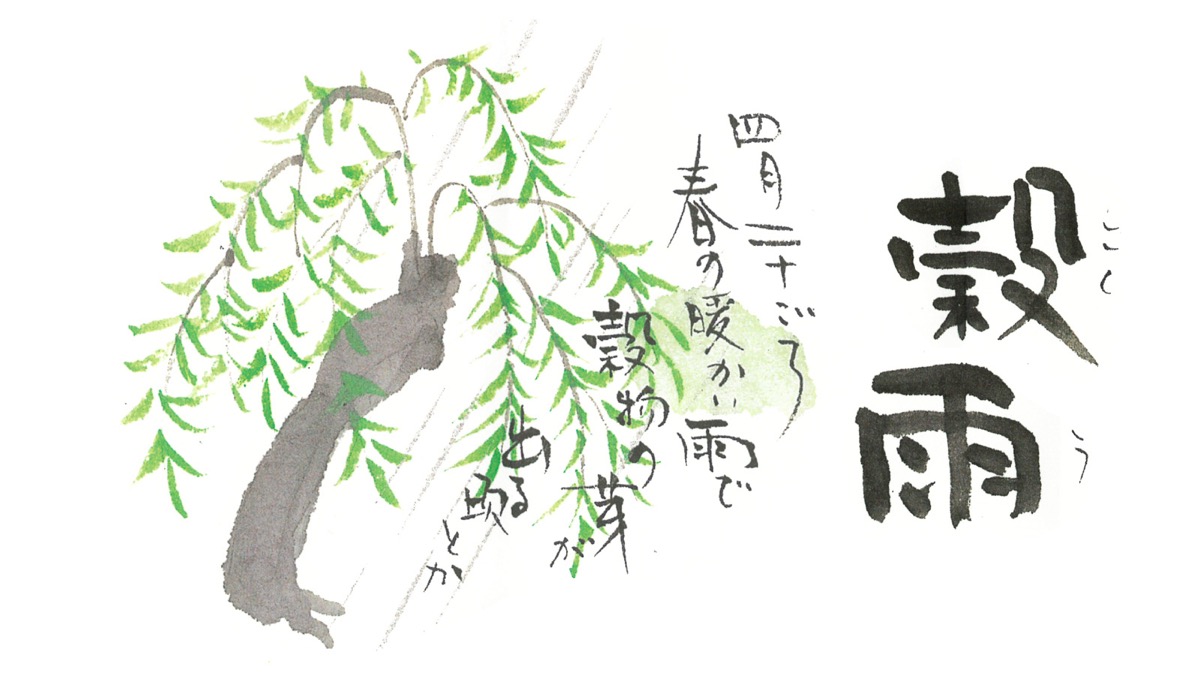 穀雨