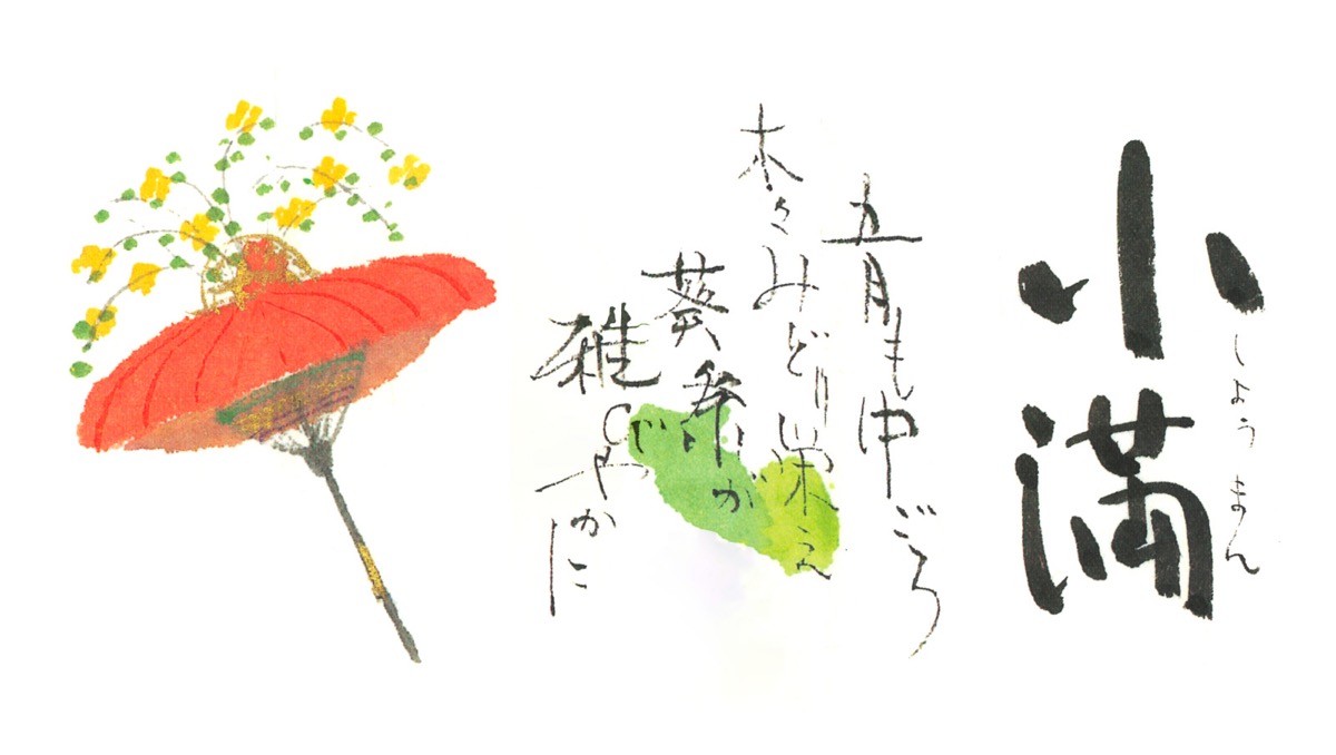 小満